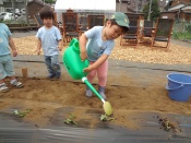 DSC00178.JPG補.jpg