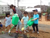 DSC00180.JPG補.jpg