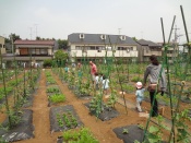 DSC00192.JPG補.jpg