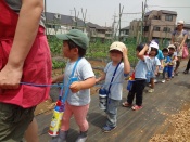 DSC00198.JPG補.jpg