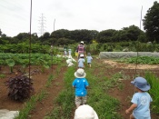 DSC05683.JPG補.jpg