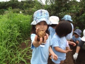 DSC05689.JPG補.jpg