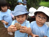 DSC05690.JPG補.jpg