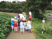 DSC05697.JPG補.jpg