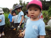 DSC05715.JPG補.jpg