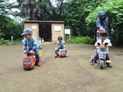 DSC07806ho.JPG