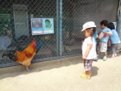 DSC09834.JPG補.jpg